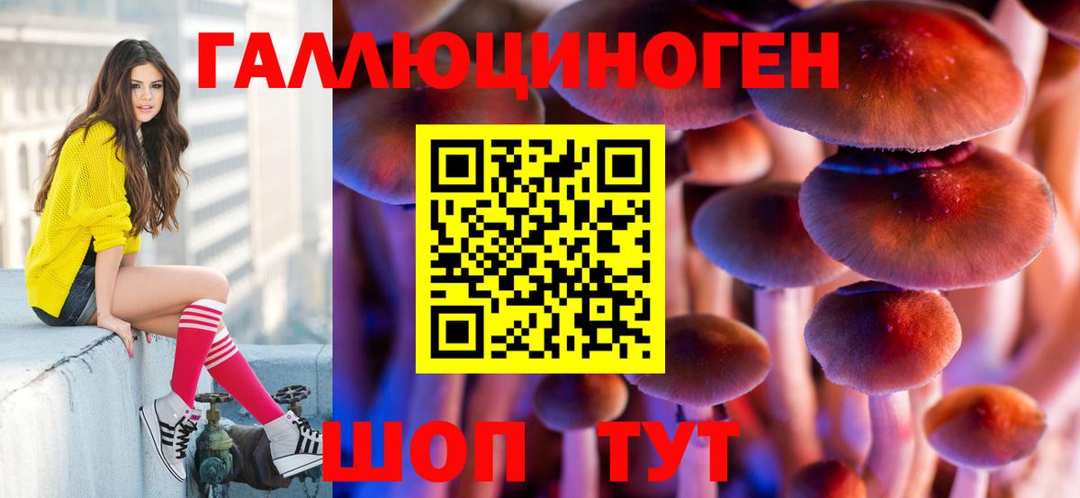 Псилоцибиновые грибы Psilocybe  Вход с VPN  Киров 